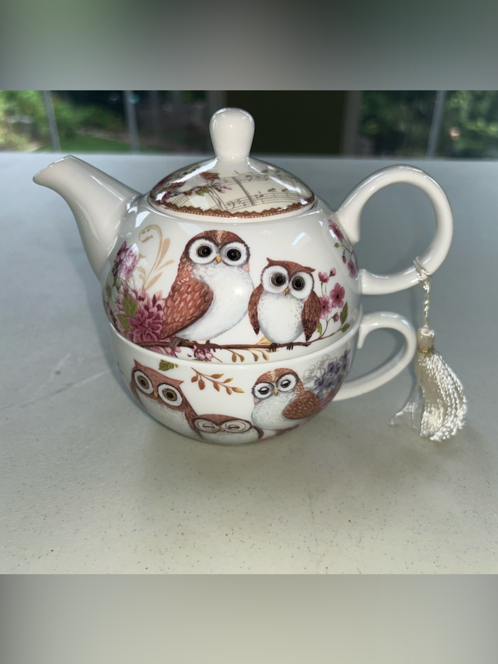 Decorative Owl Porcelain Teapot/Cup - White and Brown